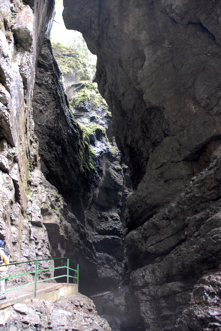DSC_6688.jpg