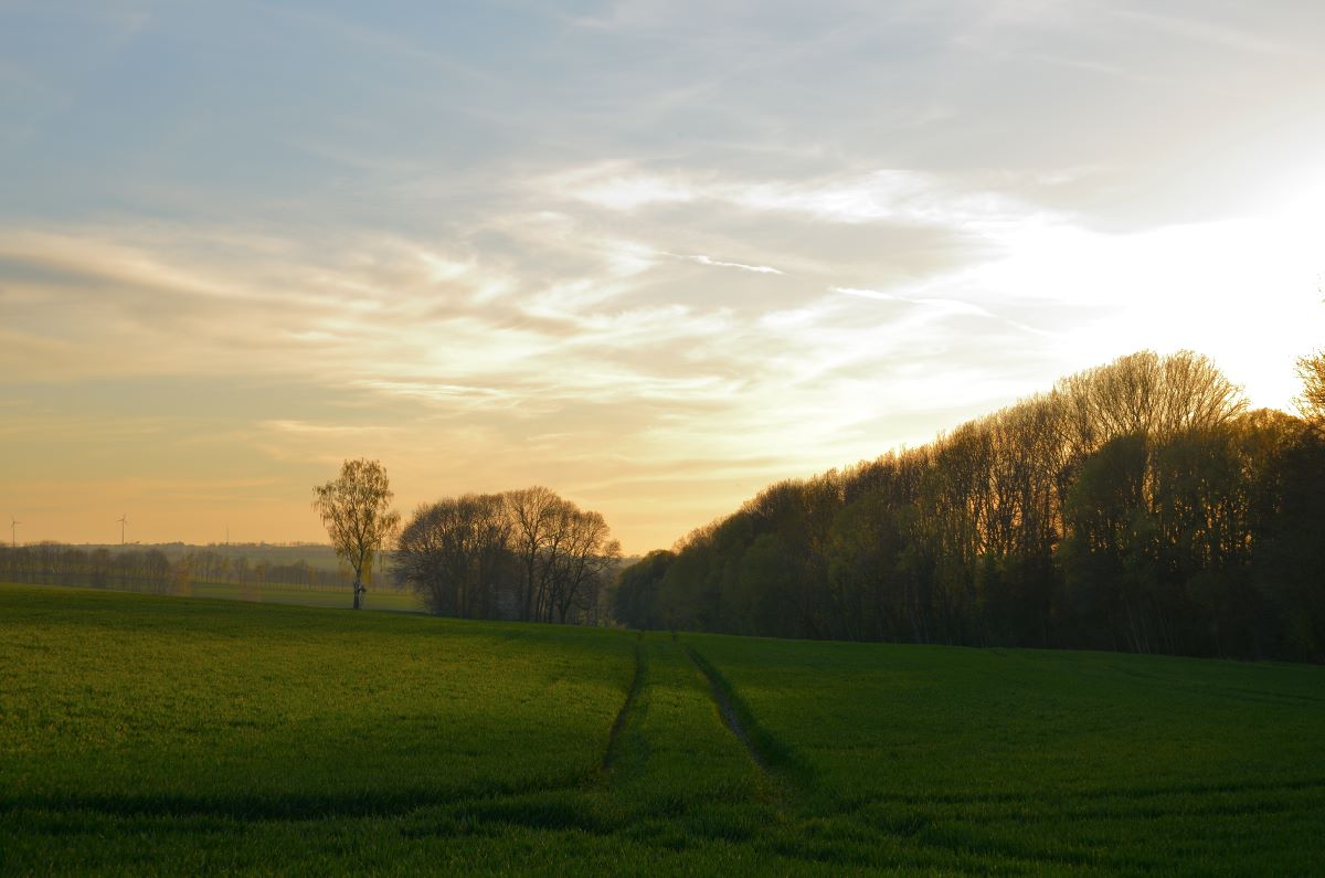 DSC_6718_00001_01n.jpg