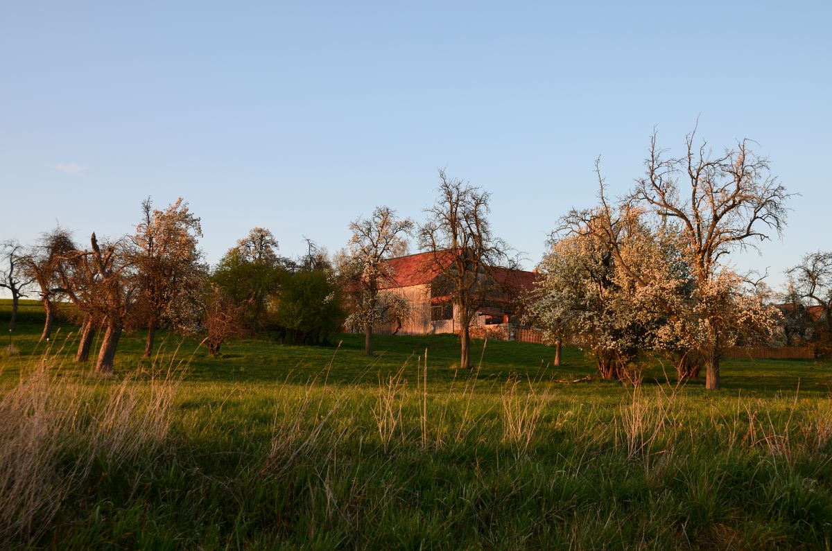DSC_6737_00001n.jpg