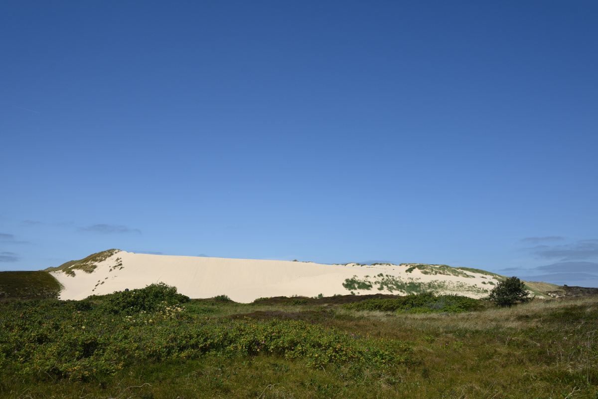 DSC_6748.JPG