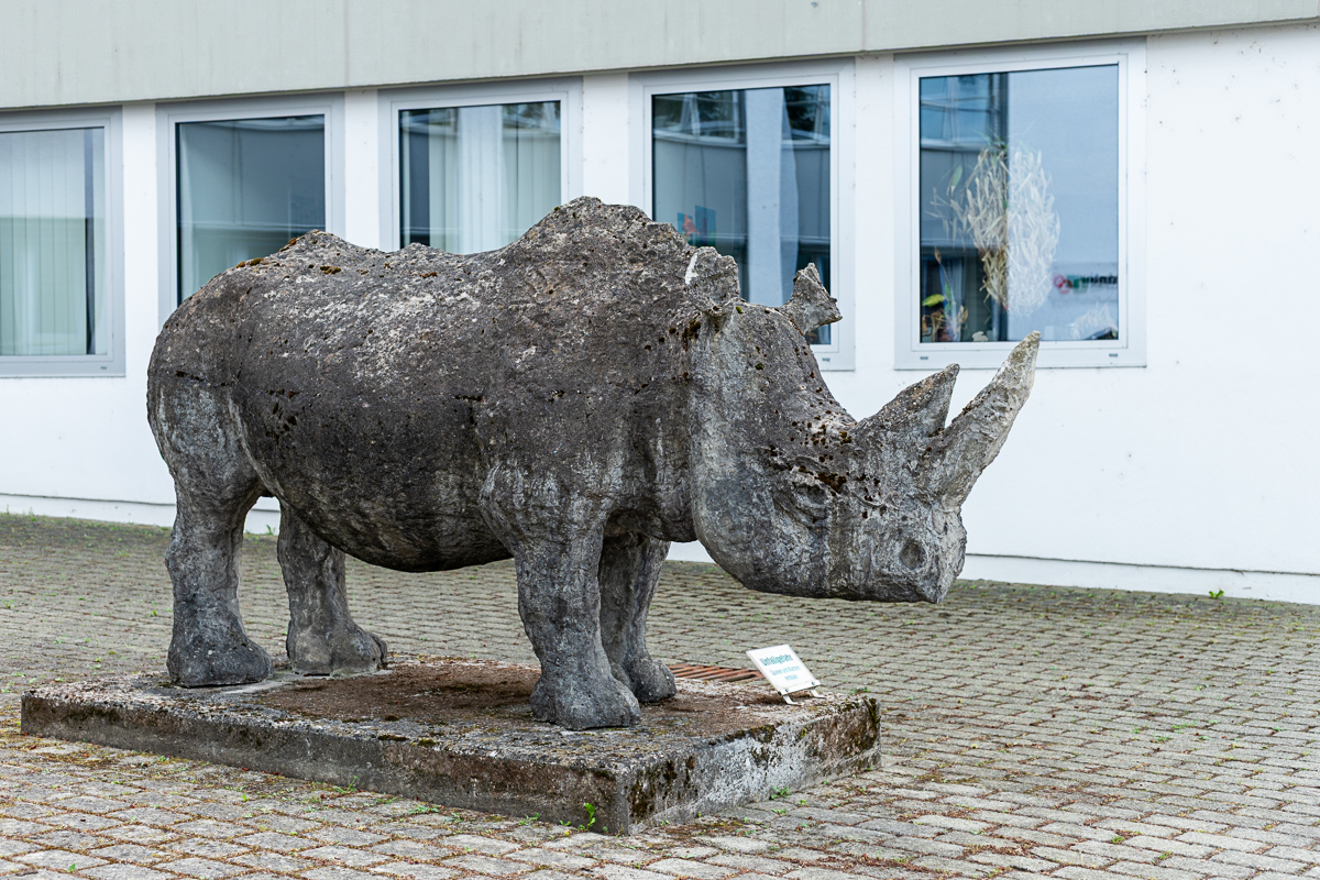 DSC_6764.jpg