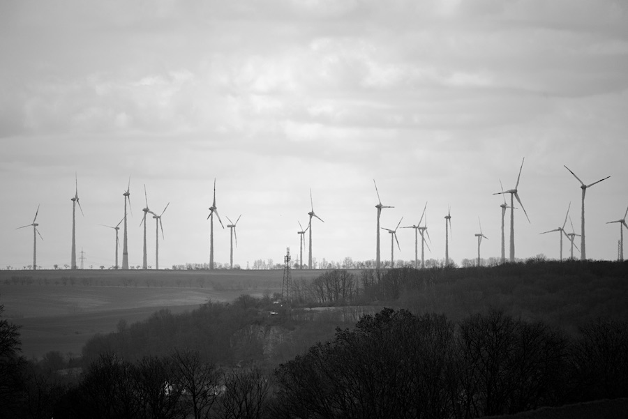 DSC_6802.jpeg