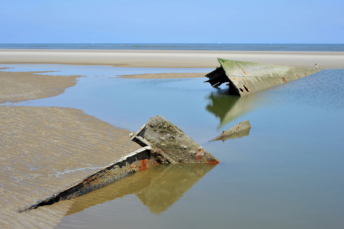 DSC_6839.jpg