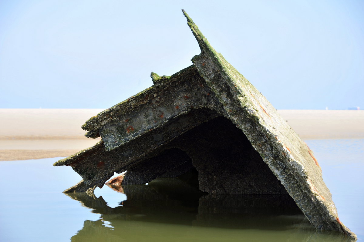 DSC_6842.jpg