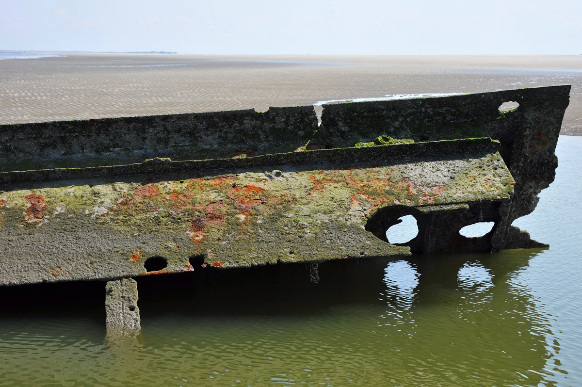 DSC_6844.jpg