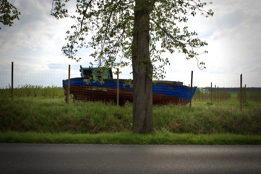 DSC_6851.jpeg