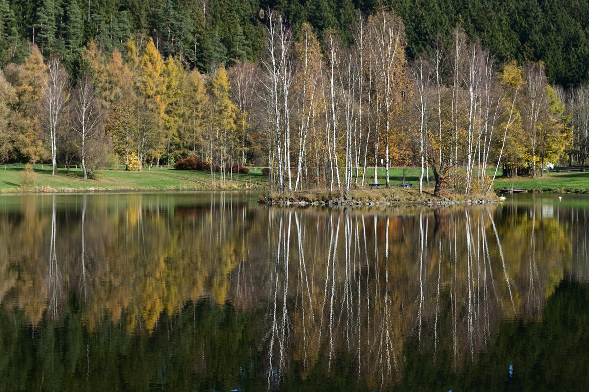 DSC_6864.JPG