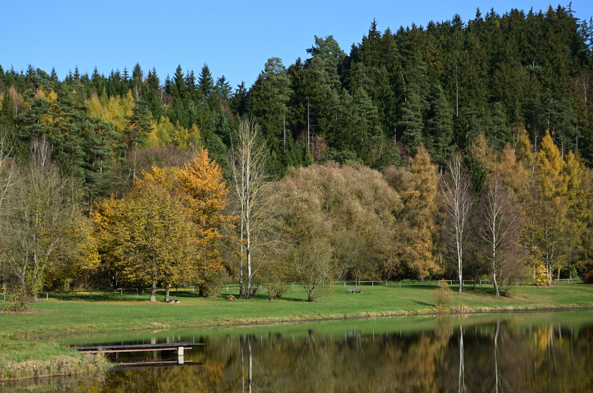 DSC_6871.JPG