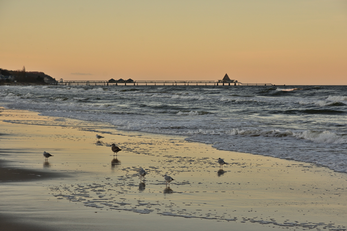 DSC_6888.JPG