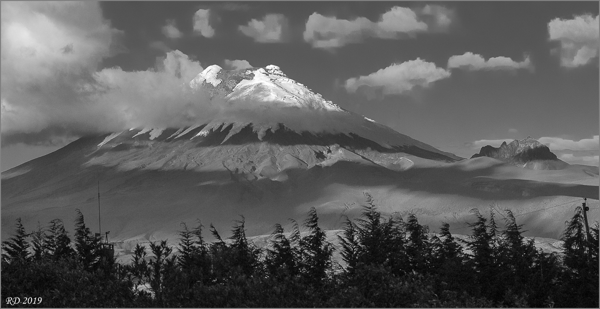 DSC_6909.jpg