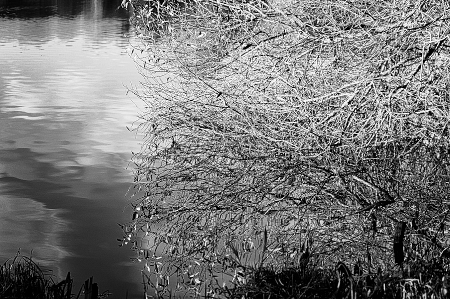DSC_6922.jpg