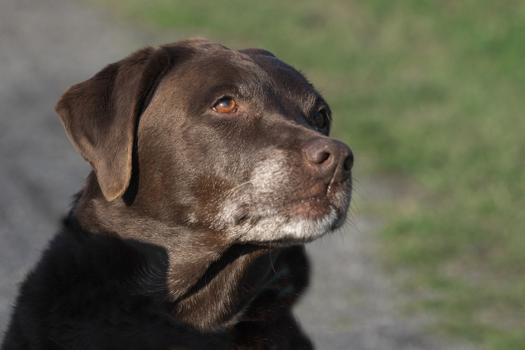 DSC_6927.jpg