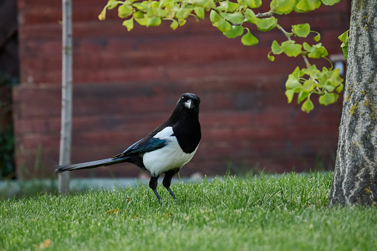 DSC_6972.jpg