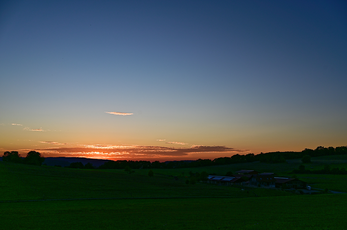 DSC_6980_1.jpg