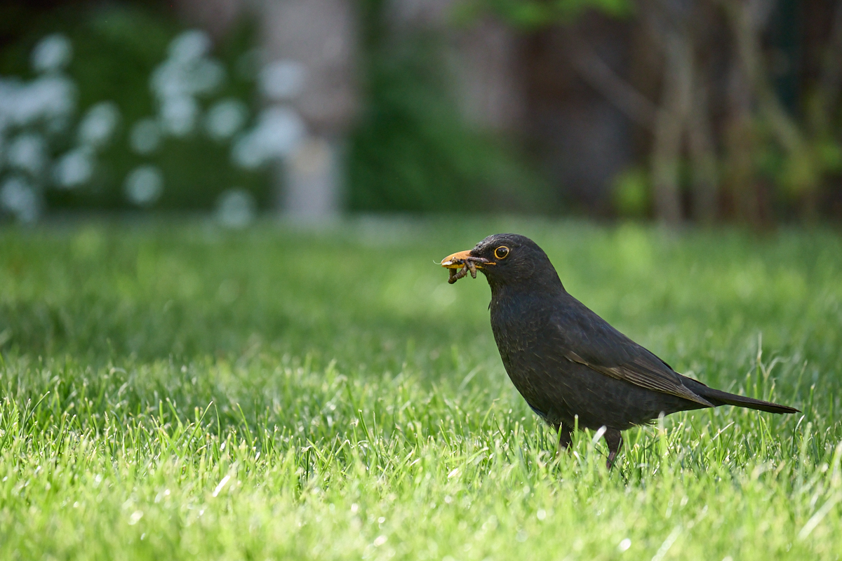 DSC_6981.jpg