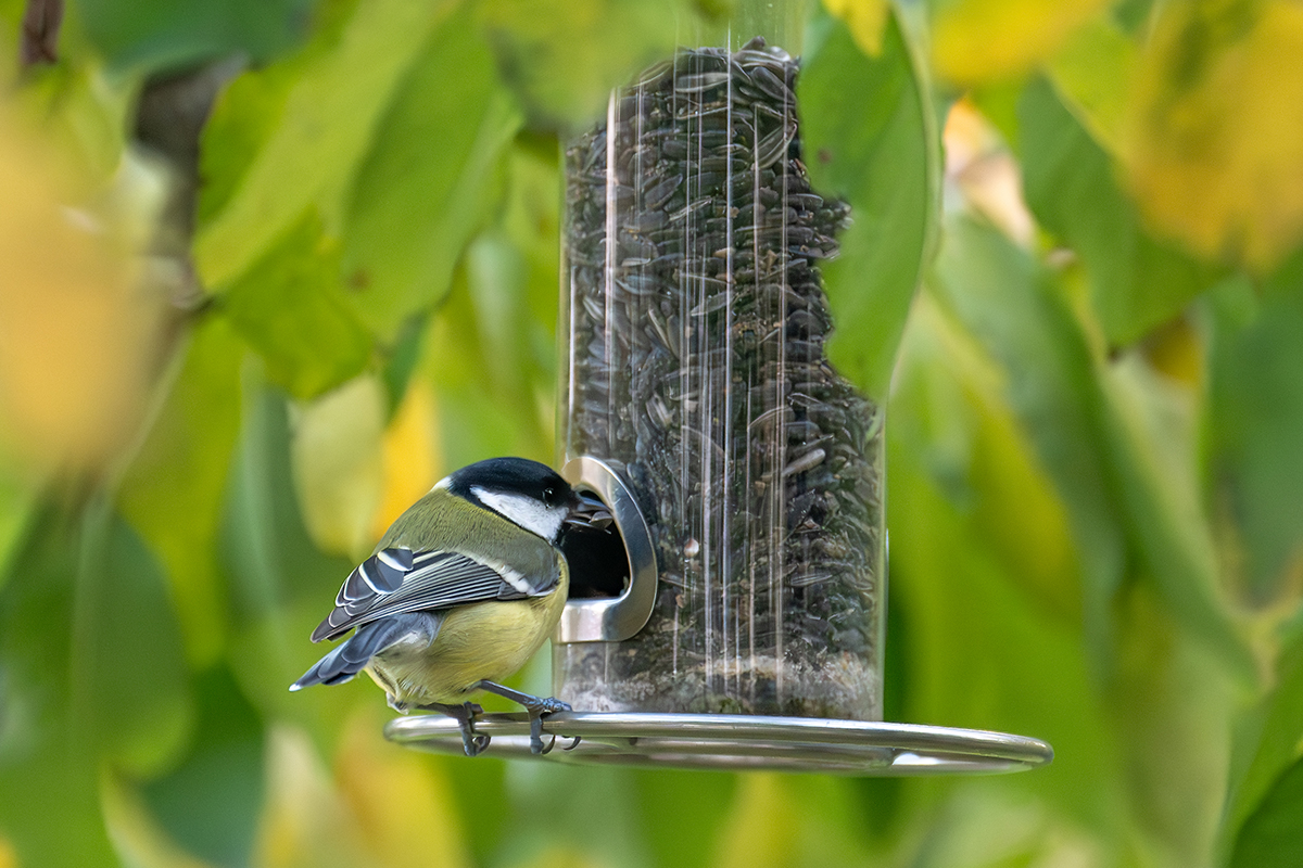 DSC_6985.jpg