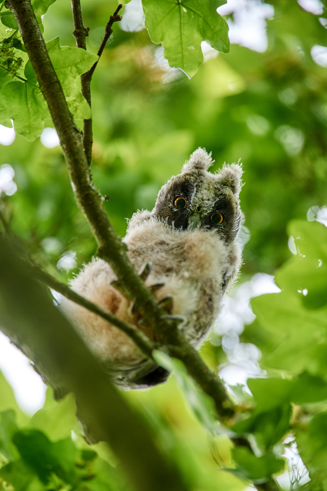 DSC_6988.jpg