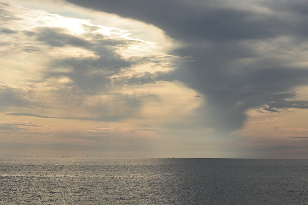 DSC_7026.JPG
