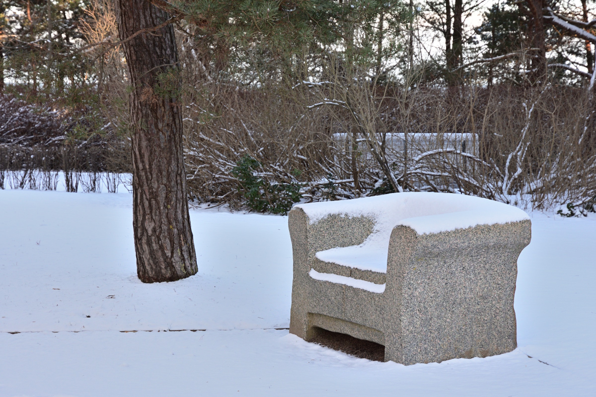 DSC_7078.JPG