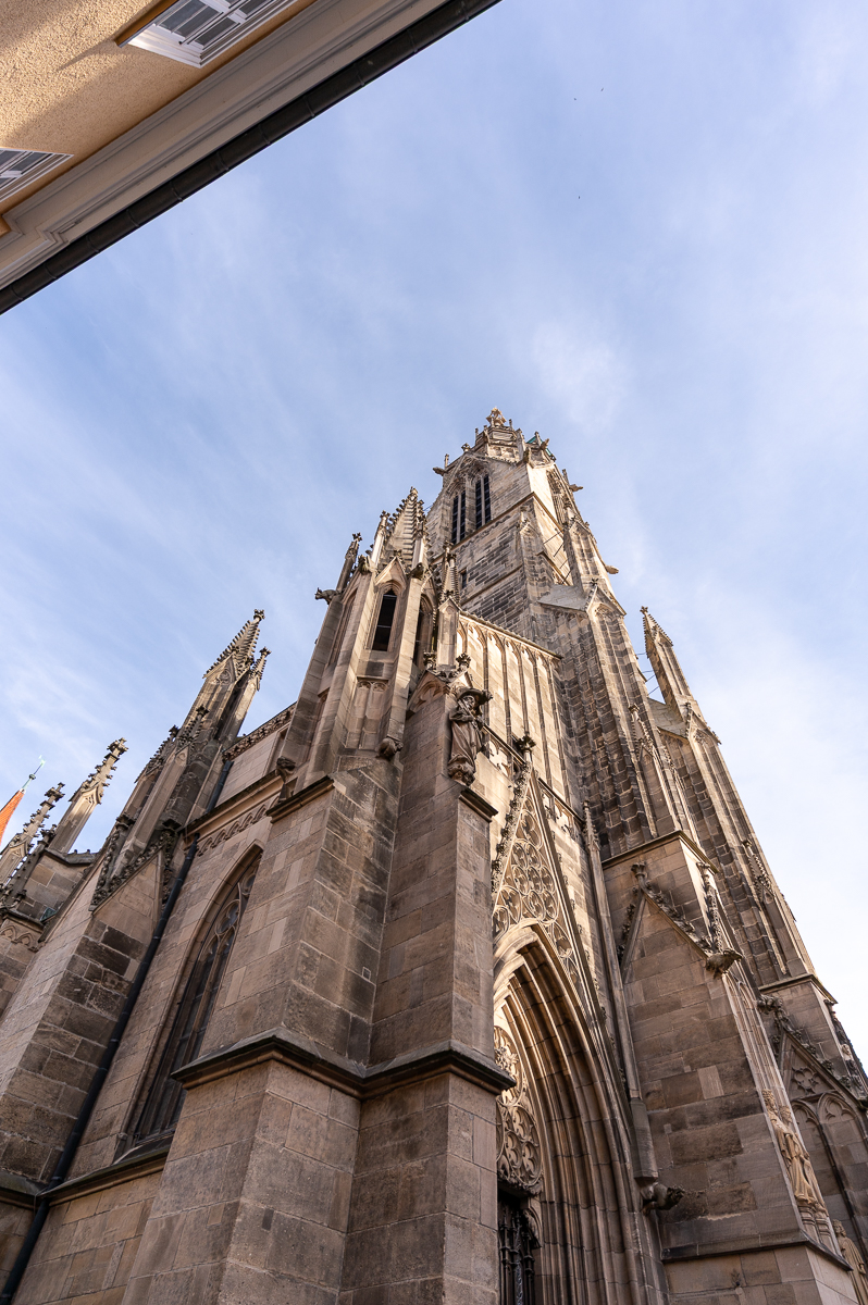 DSC_7121.jpg