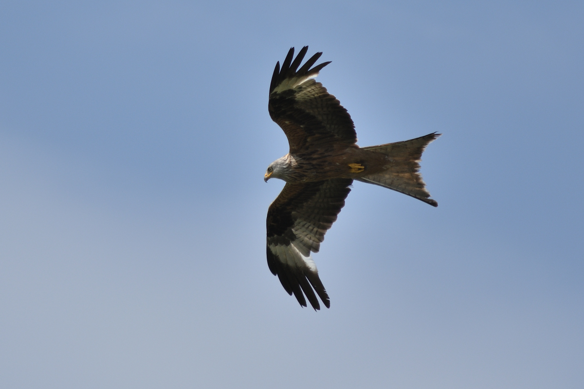 DSC_7141.JPG