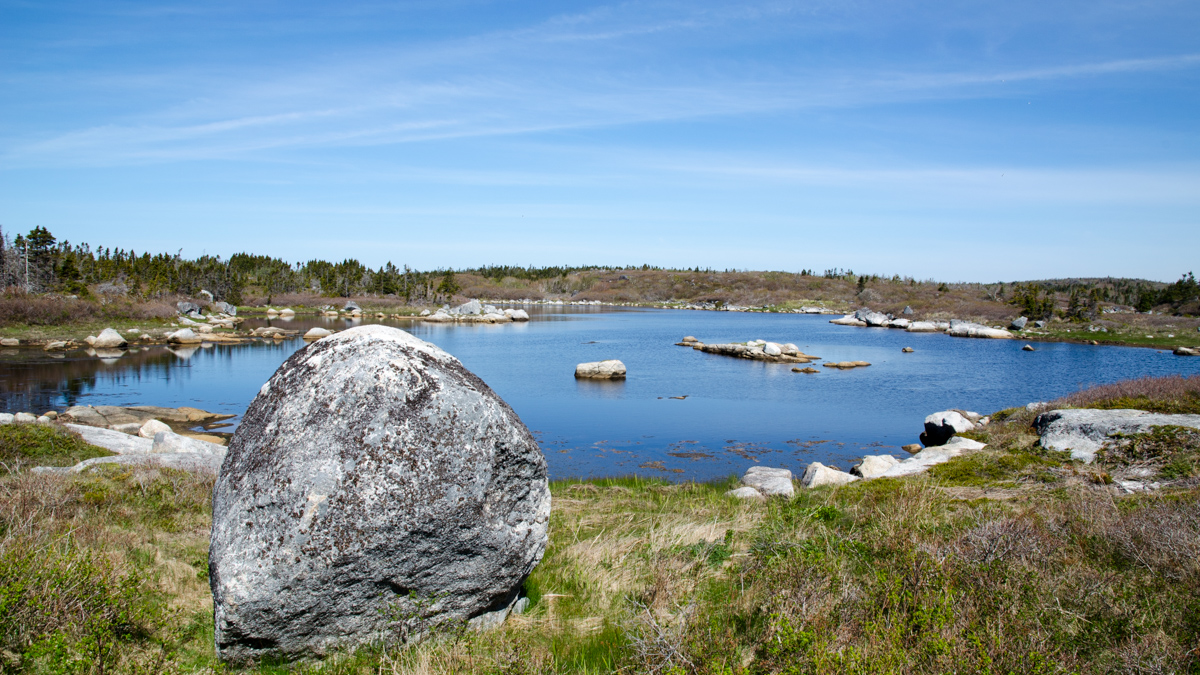DSC_7158.jpg