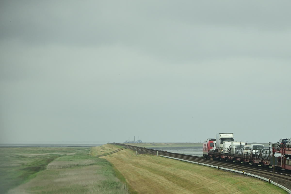 DSC_7221.JPG