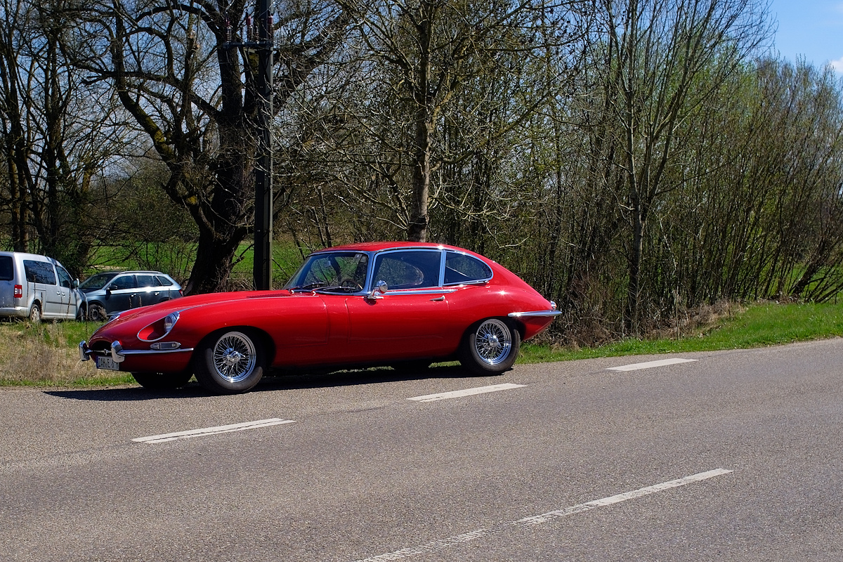 DSC_7224_DxOn.jpg