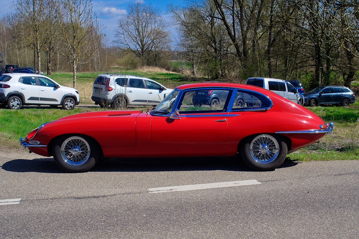 DSC_7225_DxOn.jpg
