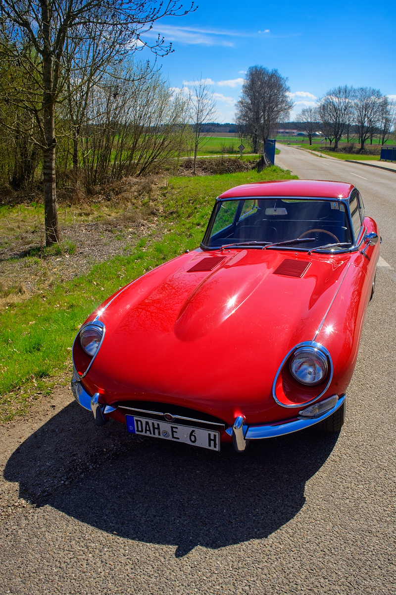 DSC_7227_DxOn.jpg