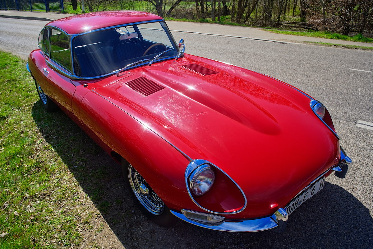 DSC_7229_DxOn.jpg