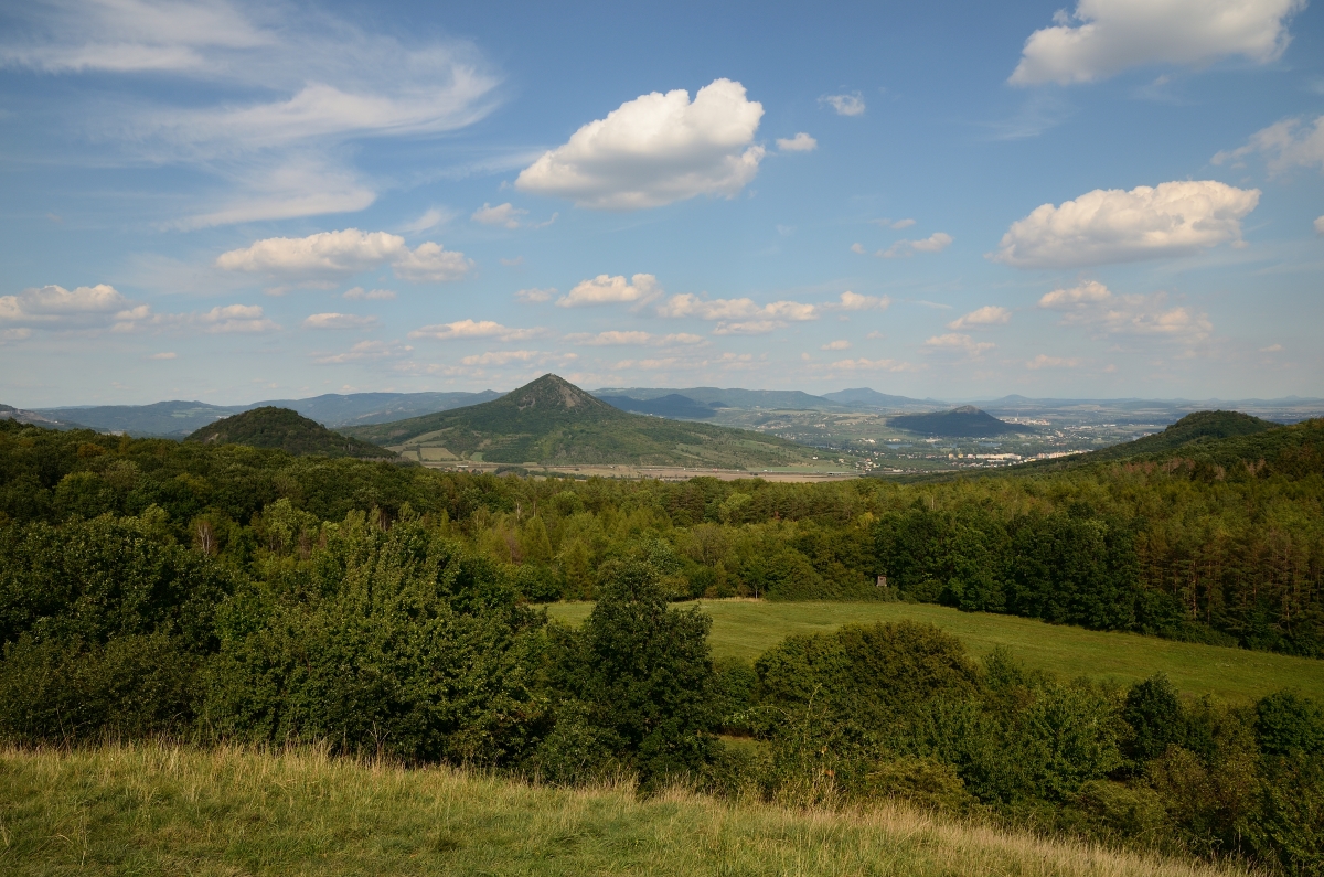 DSC_7233_00001n.jpg
