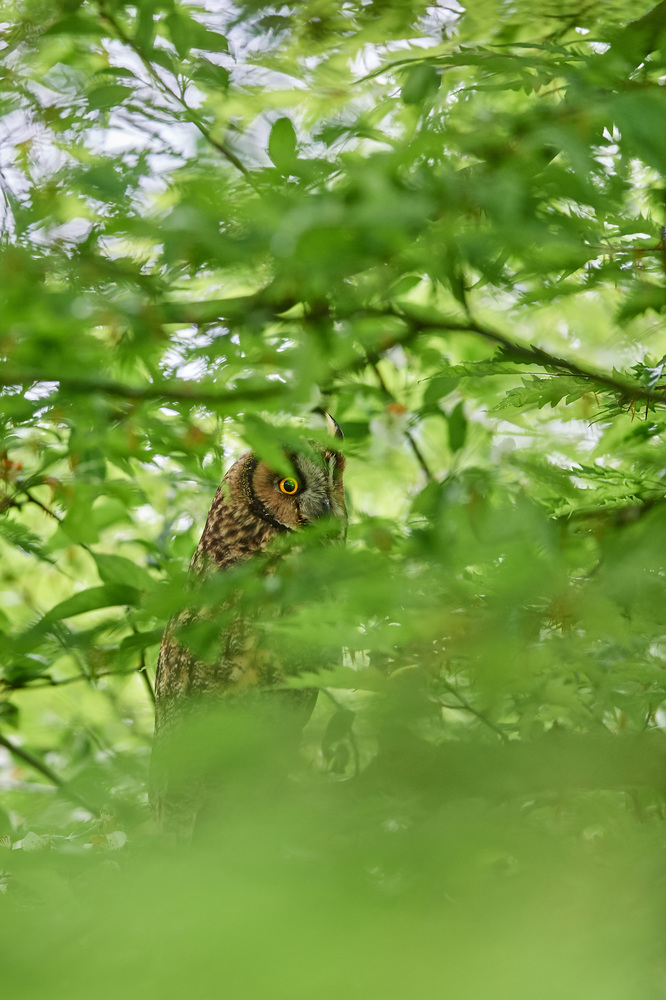 DSC_7235.jpg