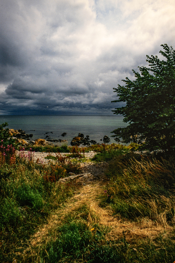 DSC_7236-web.jpg