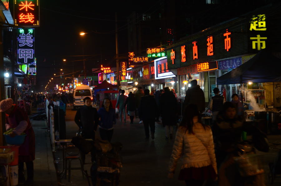 DSC_7253_01.JPG