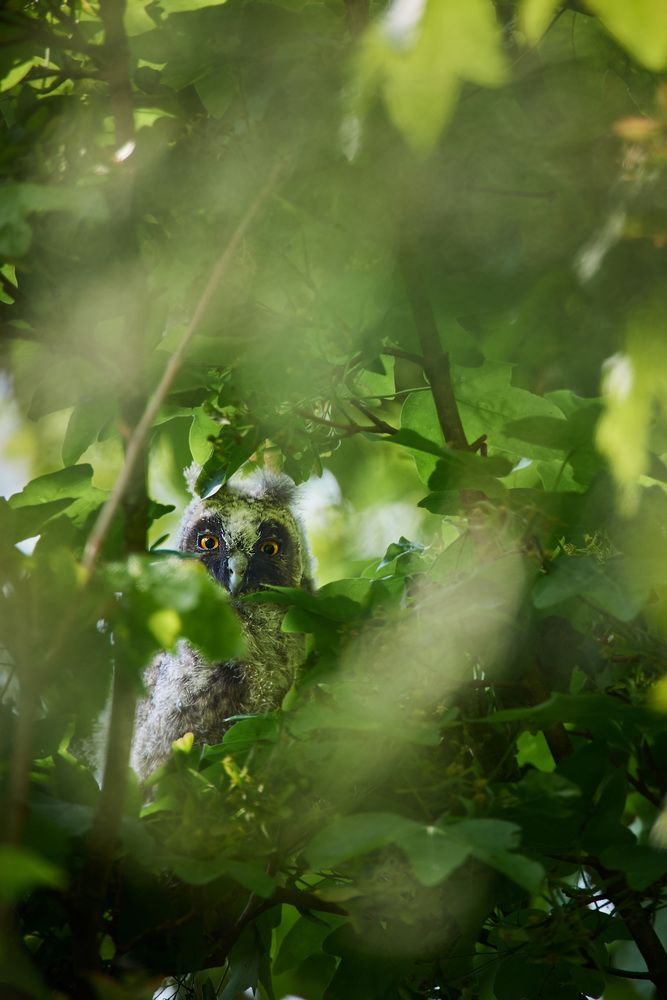 DSC_7254 1.jpg