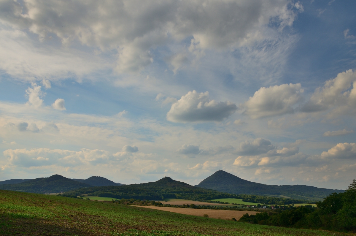 DSC_7262_00001n.jpg