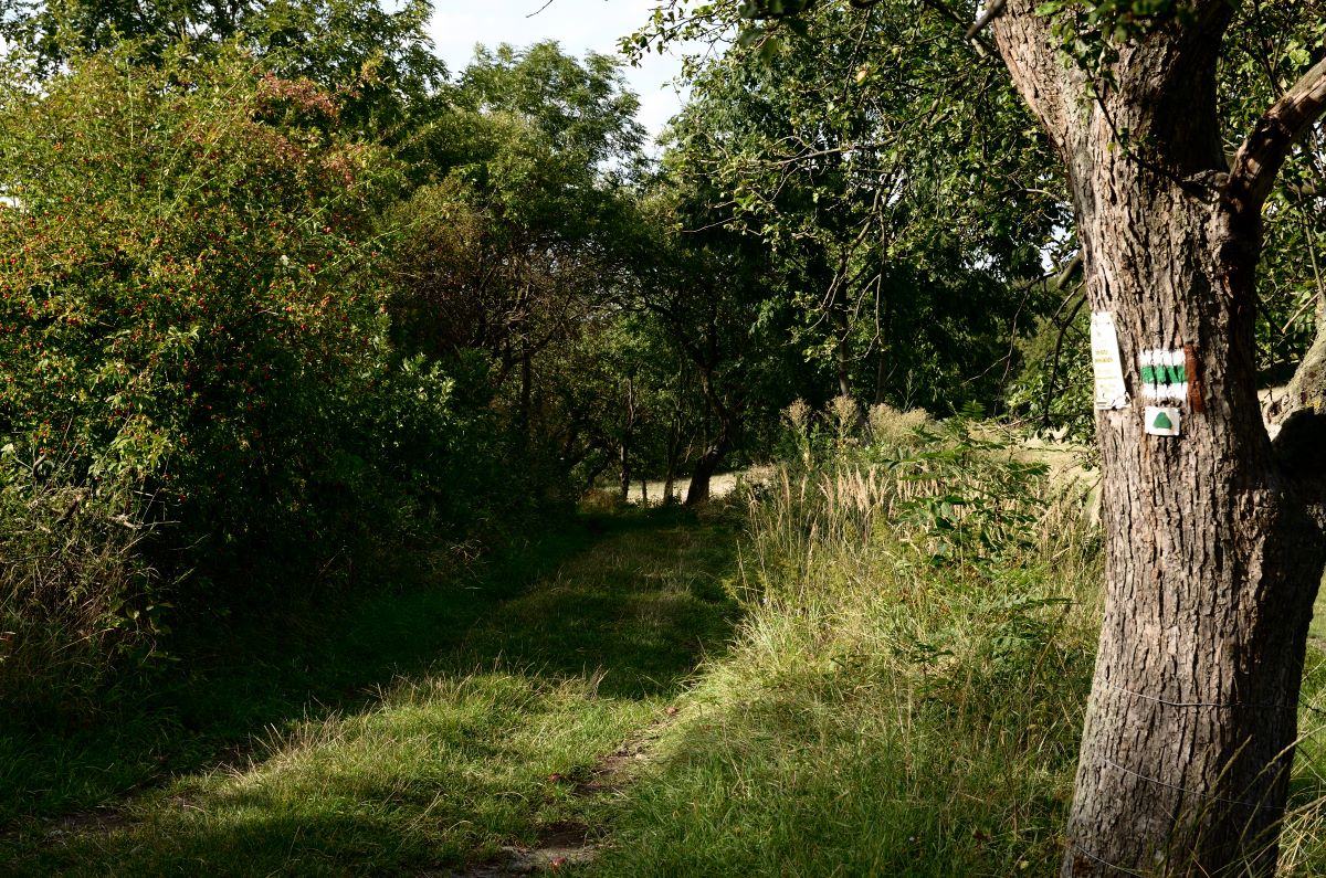 DSC_7265_00001_01n1.jpg