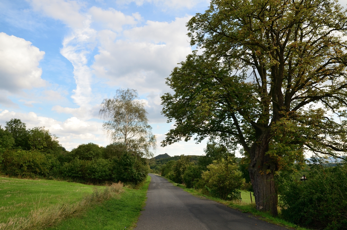 DSC_7277_00001n.jpg
