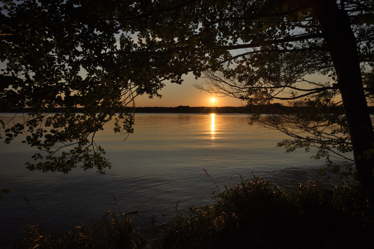 DSC_7295.JPG