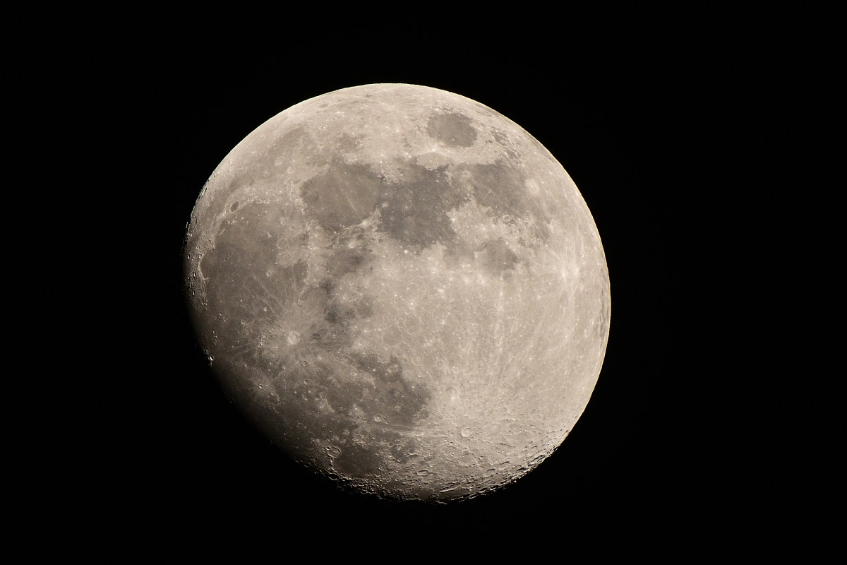 DSC_7303.JPG