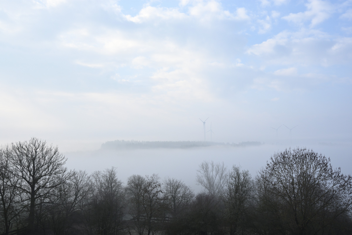 DSC_7320.JPG