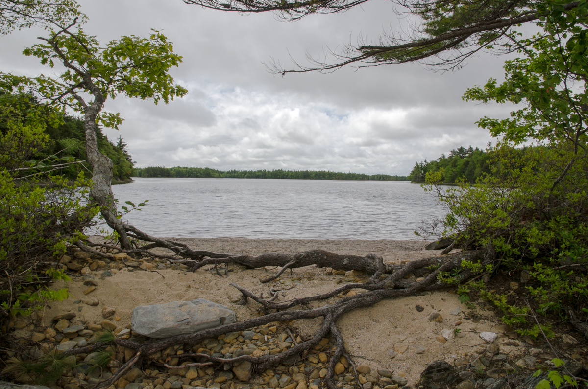 DSC_7326.jpg