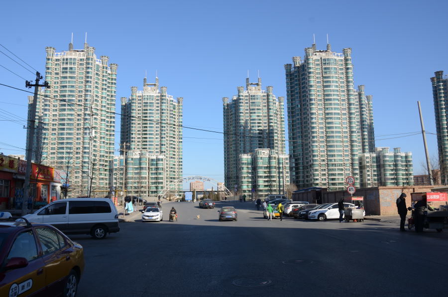 DSC_7367_01.JPG