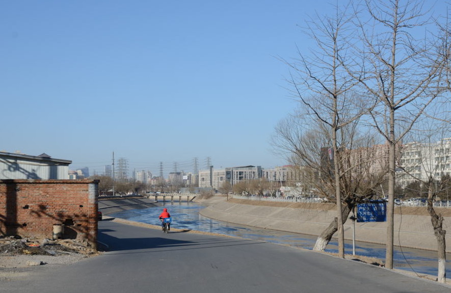DSC_7373_01.JPG