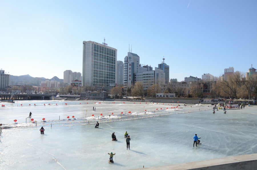 DSC_7378_01.JPG