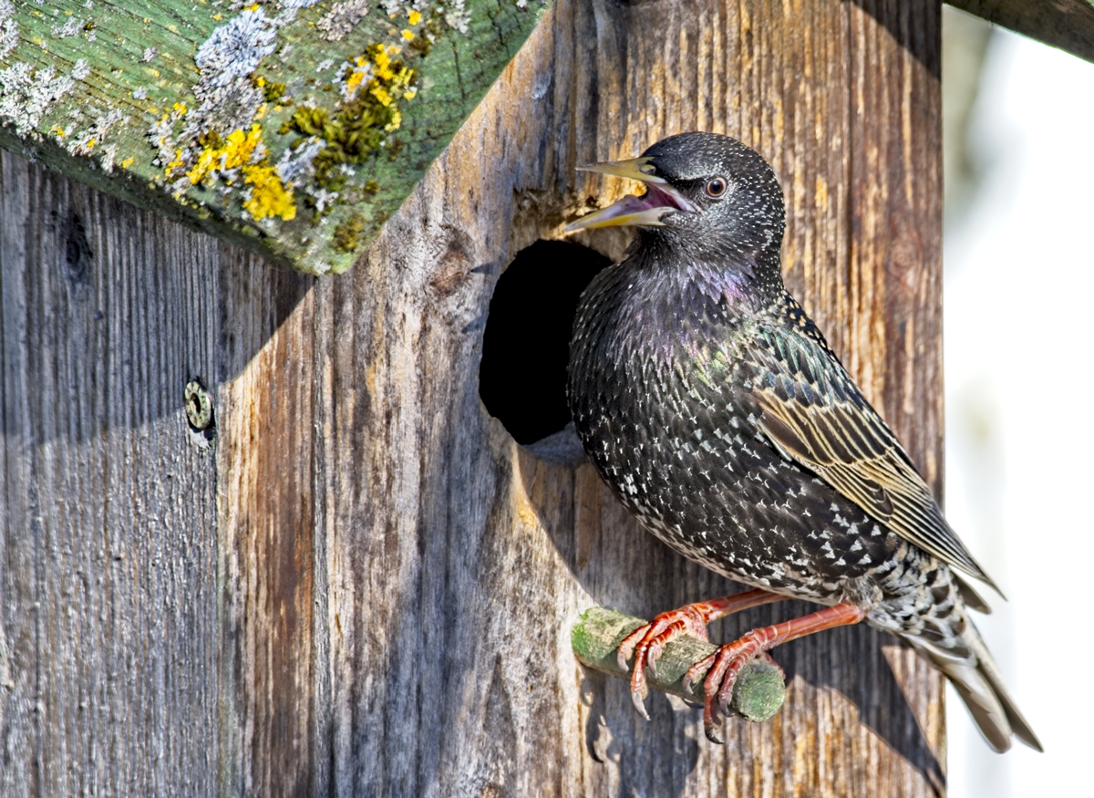 DSC_7391.jpg