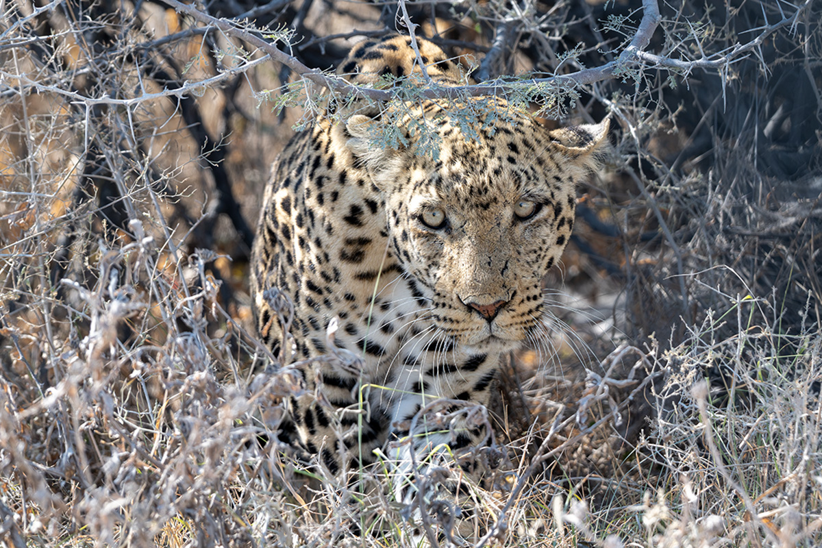 DSC_7396.jpg