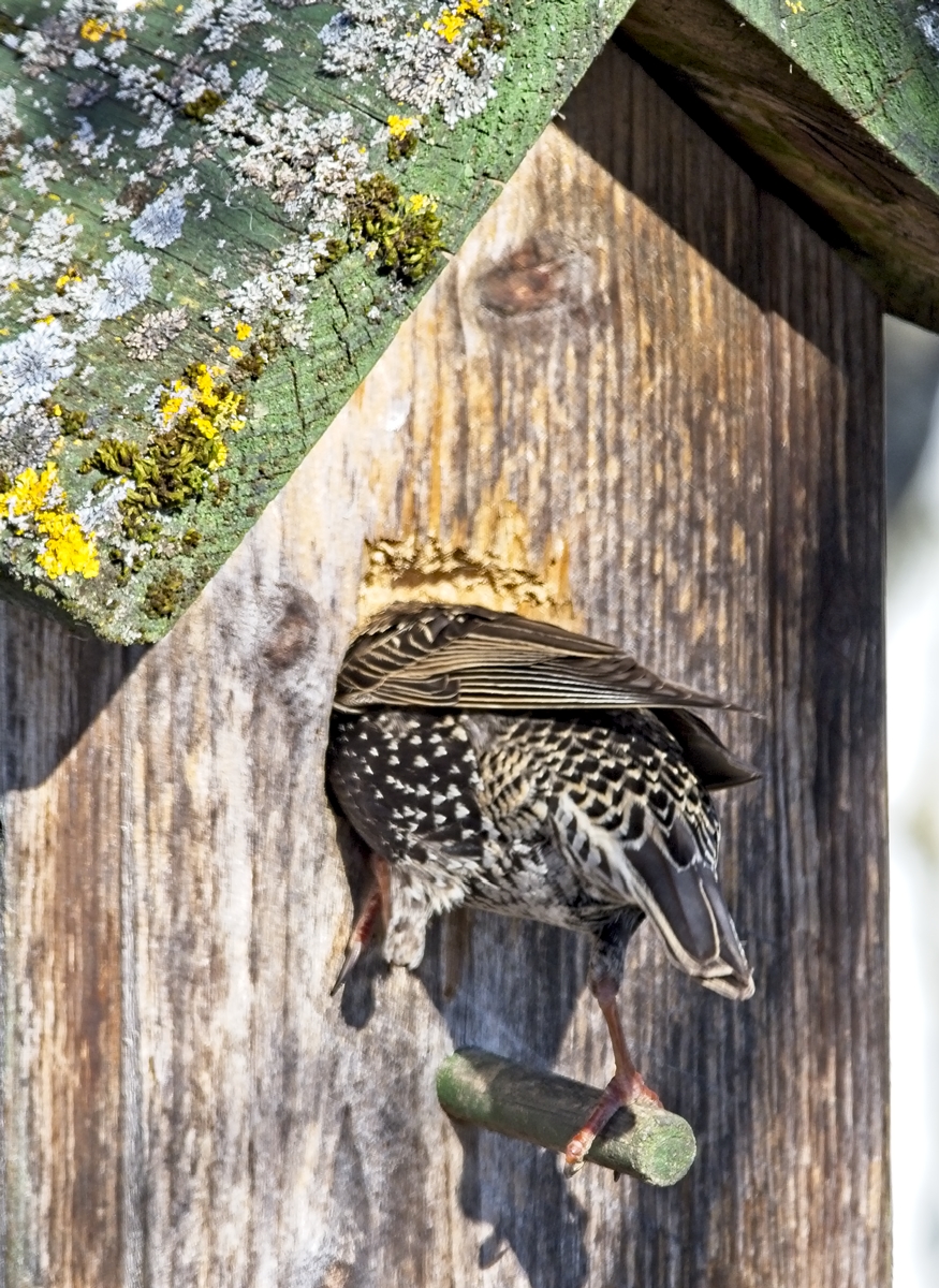 DSC_7401.jpg
