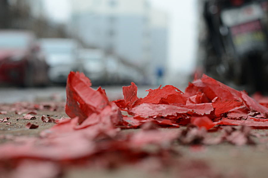 DSC_7470.JPG